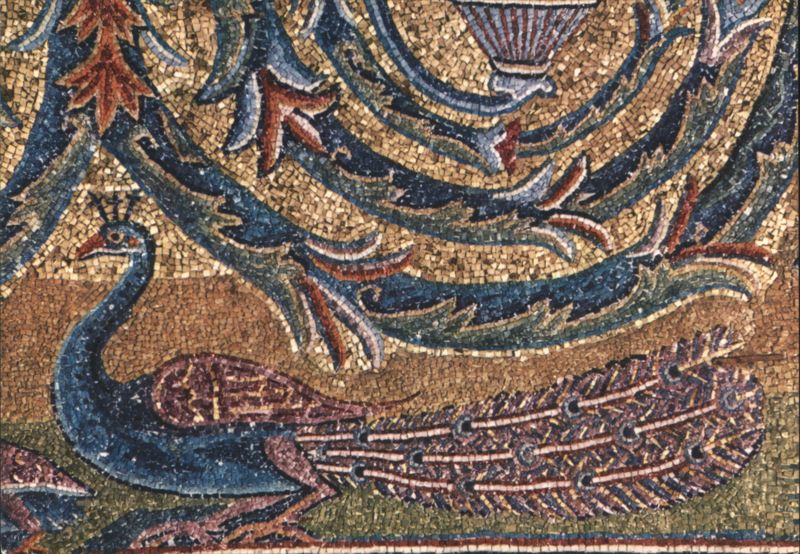 Basilica of St. Clement Apse Mosaic Detail, Peacock Rome Italy