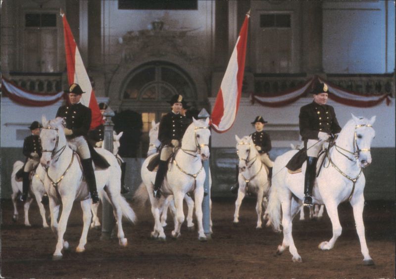 Vienna Spanish Riding School White Lipizzaner Horses Austria