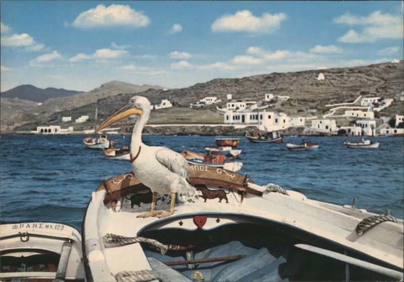 Mykonos Port with Pelican Petro on Boat Greece Greece, Turkey, Balkan States