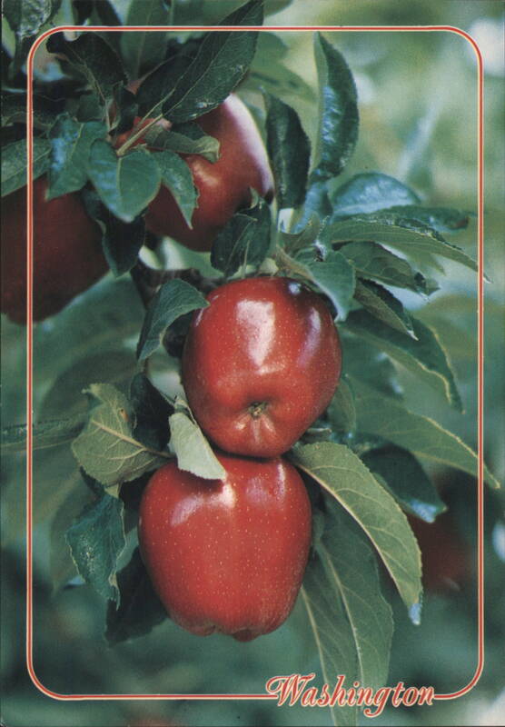 Washington State Red Apples, The Apple Capital of the World