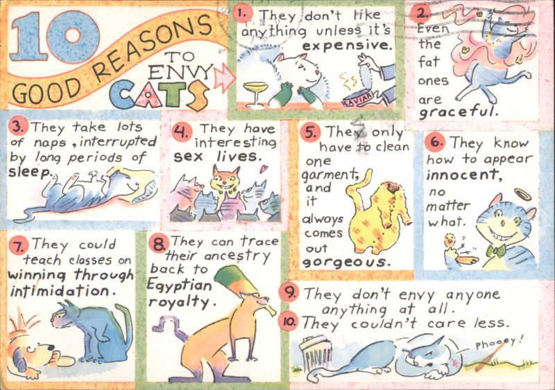 10 Good Reasons to Envy Cats Humorous Cartoon
