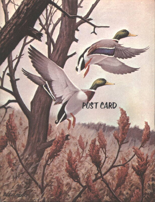 Mallard Drakes Rising, Series II Plate VIII Don R. Eckelberry