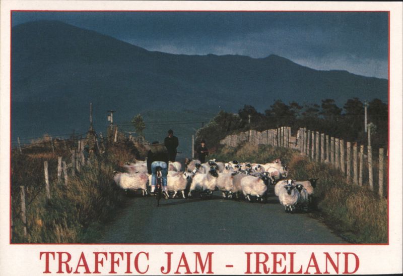 Traffic Jam - Sheep on Road, Cyclist, Mountains, Ireland