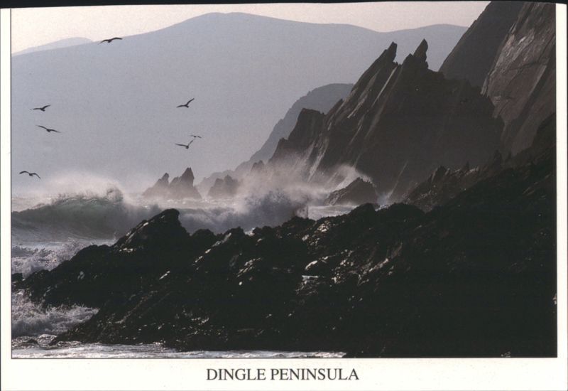 Dingle Peninsula Rugged Coastline, Waves, Birds Ireland