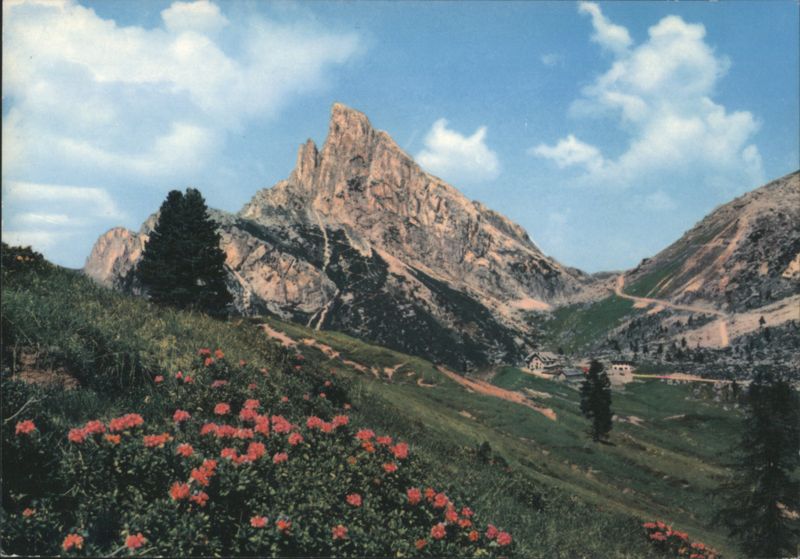 Passo Falzarego, Dolomiti, Mountain Landscape with Flowers Cortina d'Ampezzo Italy
