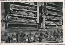 Palermo Capuchin Catacombs Mummified Bodies Postcard