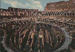 Colosseum with New Excavations Postcard