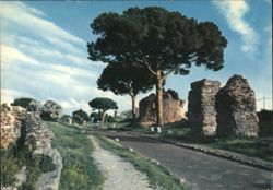 Ancient Appian Road, Ruins & Pine Trees Postcard
