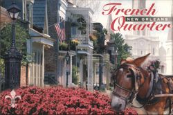 French Quarter Street with Mule Carriage, New Orleans Postcard