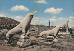 Delos Archaic Lions Ancient Greek Statues Columns Postcard