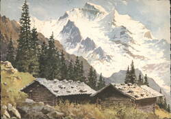 Jungfrau (Maiden) Mountain, Swiss Alps, Cabins & Forest Postcard
