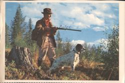 Bird Hunter and Dog, Norway Postcard