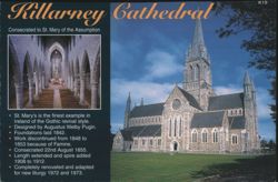 Killarney Cathedral St. Mary of the Assumption Ireland Postcard