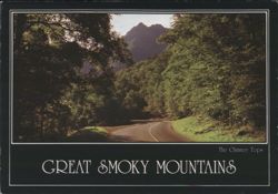 Chimney Tops Winding Road Great Smoky Mountains TN Postcard Postcard