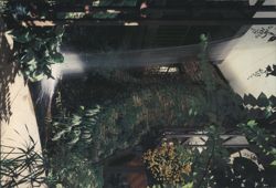Callaway Gardens Waterfall Pine Mountain GA Chrome Postcard Postcard
