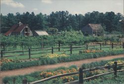 Mr. Cason's Vegetable Garden Callaway Gardens GA Chrome PC Postcard