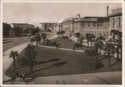 Milano Citta degli Studi University Campus Palm Trees Postcard