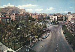 Palermo Piazza Castelnuovo, Palm Trees & Cityscape Postcard