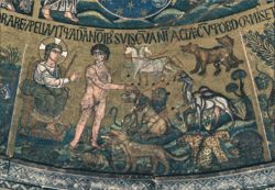 Creation of Adam & Eve Mosaic, Basilica di S. Marco Postcard