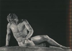 Dying Gaul Statue, Capitoline Museums, Rome Postcard