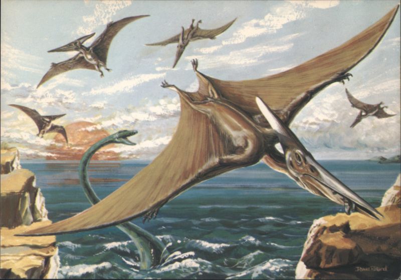 Pteranodon & Elasmosaurus, Cretaceous Period Peter Roland