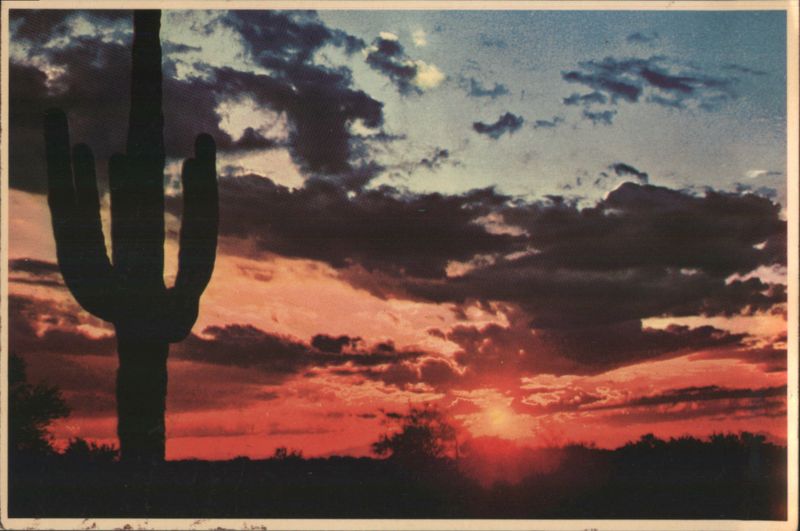 Saguaro Cactus Silhouette, Desert Sunset Western Sky Phoenix Arizona