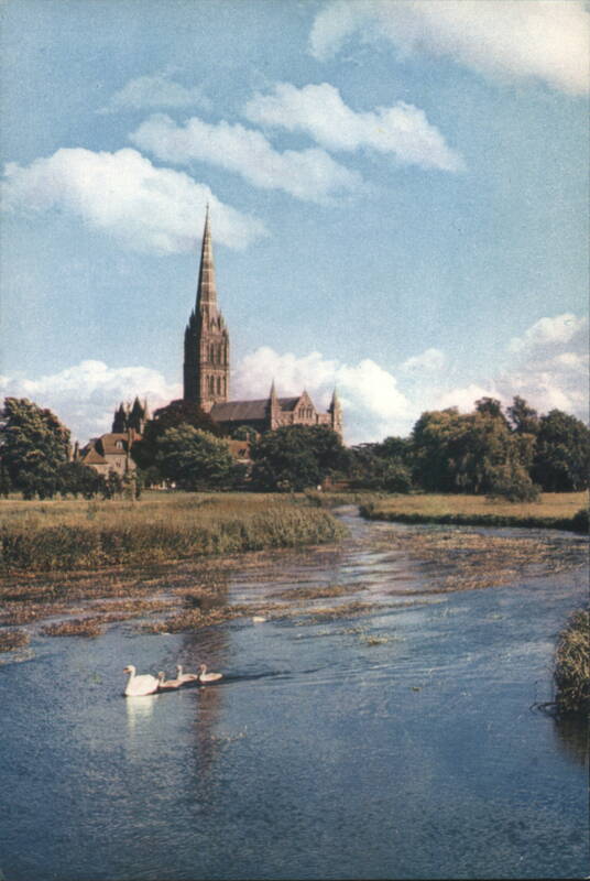 Salisbury Cathedral from River Avon, Swans United Kingdom