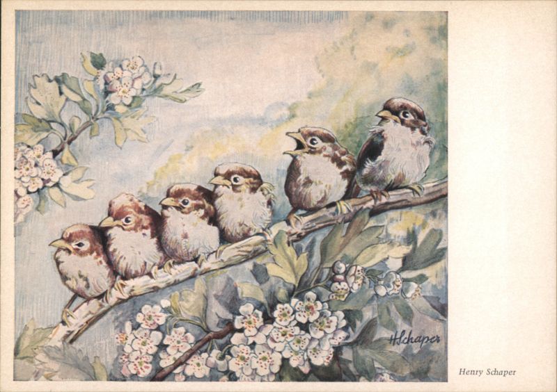 Five Sparrows on a Branch with Blossoms - Henry Schaper