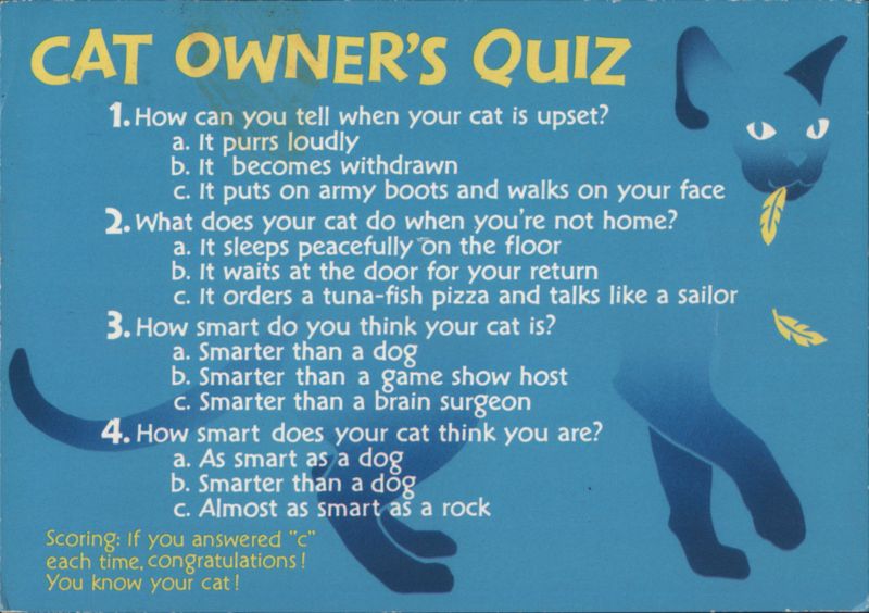 CAT OWNER'S Quiz - Blue Cat Illustration Cats