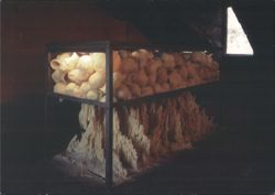 Ann Hamilton offering, 1991 Postcard
