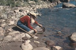 The Old Miner Panning for Gold Postcard