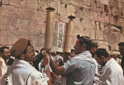 Jerusalem Wailing Wall Reading the Thora Postcard
