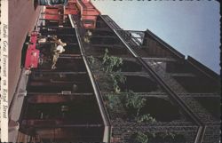 Mardi Gras Forecourt, Royal Street French Quarter Postcard