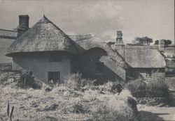 Parliament Cottages, Thatched Roofs, Totnes, Devon Postcard