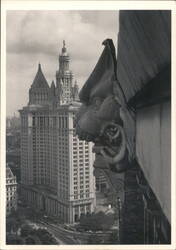 Lion's Head, Municipal Building, New York 1979 Postcard
