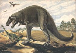 Tyrannosaurus Rex & Struthiomimus Dinosaurs, Upper Cretaceous Postcard