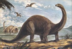 Brontosaurus & Rhamphorhynchus Dinosaurs, Jurassic Era Postcard