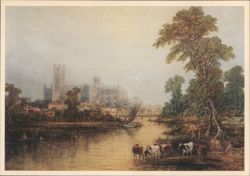 Ely Cathedral, River Scene with Cows & Sailboat Postcard