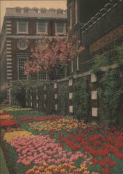 Hampton Court Palace, Tulips by the Broad Walk Postcard