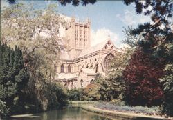 Wells Cathedral, Somerset - Swan Pool & Grounds Postcard