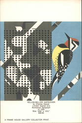 Yellow-bellied Sapsucker by Charles Harper Print Ad Postcard