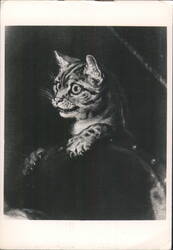 William Hogarth: Cat, Detail from The Graham Children 1742 Postcard