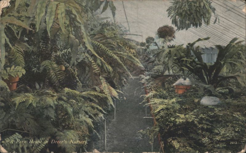 Fern House at Dreer's Nursery Philadelphia Pennsylvania