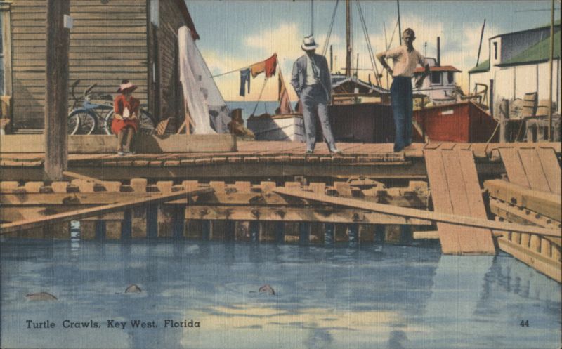Key West Turtle Crawls, Green Turtle Soup Cannery Florida