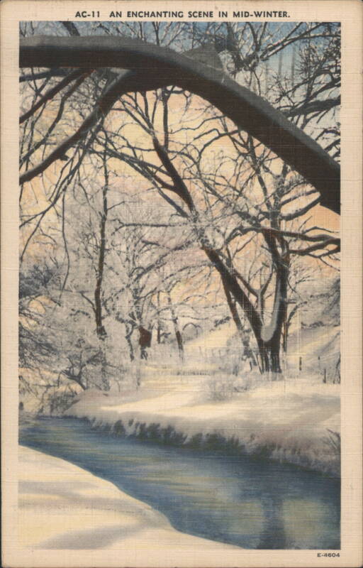 An Enchanting Scene in Mid-Winter Seasons