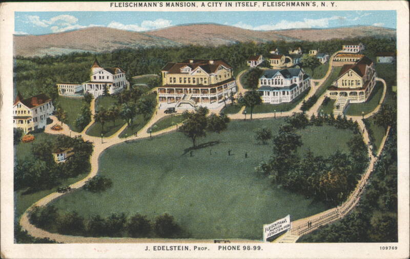 Fleischmann's Mansion, A City in Itself Fleischmanns New York