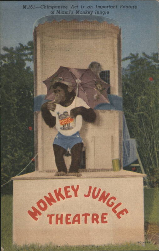 Chimpanzee Act at Miami's Monkey Jungle Theatre Florida