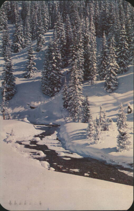 Bear Creek in Winter, Denver Mountain Parks Colorado