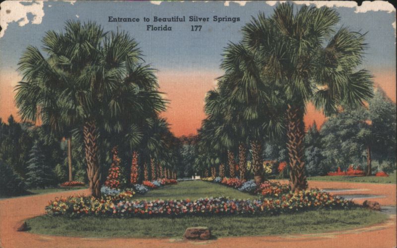 Entrance to Beautiful Silver Springs, Florida