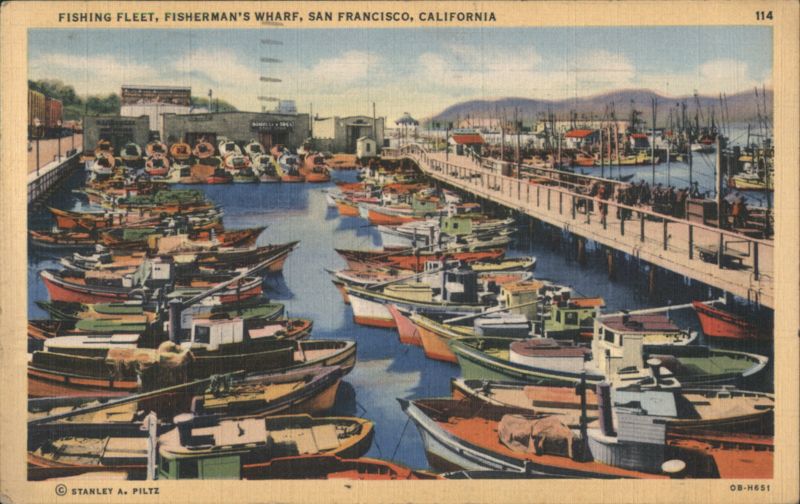 Fishing Fleet, Fisherman's Wharf, San Francisco California